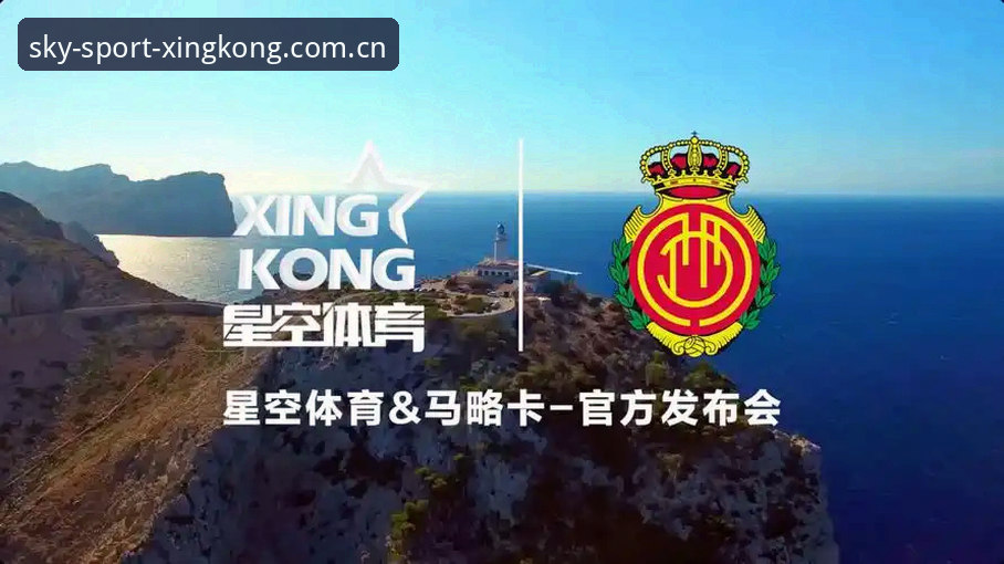 国内星空体育网站入口官网手机版访问的隐性门槛，到底卡在哪一环？——一次基于真实体验的深度拆解